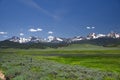 Sawtooth Mountains and Wildflowers 1939