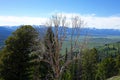 Sawtooths from Galena Summit