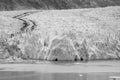 Sawyer glacier in tracy arm alaska fjords near ketchikan alaska