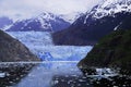 Sawyer Glacier at Tracy Arm Fjord