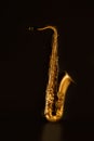 Sax golden tenor saxophone in black