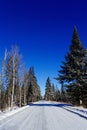 Sax-Zim Bog in the Winter Snow Royalty Free Stock Photo