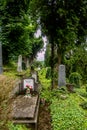 Cimitirul Bisericii Din Deal, the Saxon German Cemetery On The Hill, SighiÃâ¢oara, Transylvania, Romania Royalty Free Stock Photo