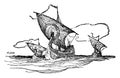 Saxon Ships, vintage illustration
