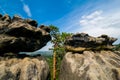 Saxon Switzerland National Park rocky and green trees landscape