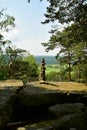 Saxon Swizerland Germany nature reserve forest rock beautifull