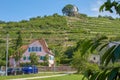 Saxon vineyard overlooking the Jacobstein