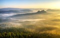 Saxony Switzerland park