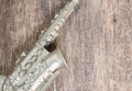 Saxophone for decorate old close up on vintage wooden background with copy space add text Royalty Free Stock Photo