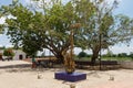 Saxophone statue in Mompox, Colombia