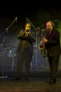 Saxophone and Trumpet Players at the Vienna Ball Royalty Free Stock Photo