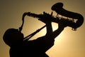 Saxophonist at dusk Royalty Free Stock Photo