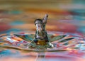 Say hello Mr water drop. Royalty Free Stock Photo