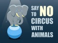 Say no to circus with animals. Poster against abuse animals in circuses. Banner with text and grey elephant on the ball on blue