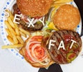 Say No To Junk Food. Juicy burger and fries with words SEXY FAT on it. Anti fast food, time for diet concept Royalty Free Stock Photo