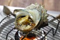 Sazae no tsuboyaki, grilled horned turban shell