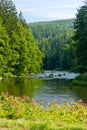 Sazava River, Czech Republic Royalty Free Stock Photo