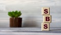 SBS - acronym on wooden cubes against the background of a light board with beautiful divorces and a cactus