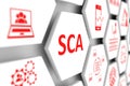 SCA concept Royalty Free Stock Photo