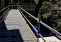 scaffolding surrounds the bridge, serving as a temporary footbridge.