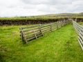 The Scaftholt Sheepfolds, historic sheep pens in Iceland Royalty Free Stock Photo