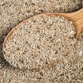 Scagliola canary seeds in wood spoon closeup