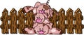 Stack of three piggies with wooden fence