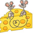 Couple of cute mice sitting on the slice of cheese