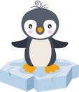 Cute baby penguin on a ice floe