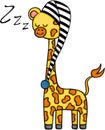 Cute giraffe sleeping