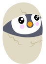 Cute penguin hatched in egg Royalty Free Stock Photo