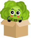 Funny broccoli mascot in cardboard box