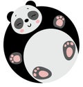 Funny cute panda with round body