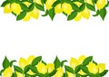 Lemon template frame border with citrus fruits branches