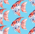 Scalare. Vibrant seamless pattern with fish