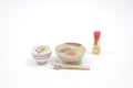 scale of japanese food model, Japanese set meal Royalty Free Stock Photo