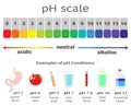 Scale of ph value for acid and alkaline solutions