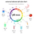 Scale of ph value for acid and alkaline solutions Royalty Free Stock Photo