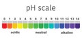 Scale of ph value for acid and alkaline solutions Royalty Free Stock Photo