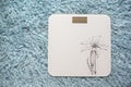 Scale / Weighing machine over fur carpet in the bathroom Royalty Free Stock Photo