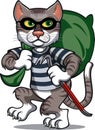 Cat burglar with crowbar and thief sack