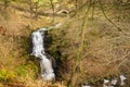 Scaleber Foss