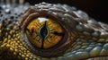 Scaled eye of an iguana up close Royalty Free Stock Photo