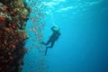 Scalefin fish on the reef and photographer Royalty Free Stock Photo