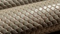 Scales are arranged in a pattern with each scale being hexagonal and Royalty Free Stock Photo