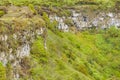 Scalesia Forest, Galapagos, Ecuador