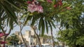 Scaligeri Castle, Sirmione, Italy. A lot of flowers and the stone walls