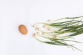 Scallion and egg