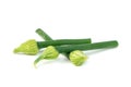 Scallion Flower or Allium cepa or Onion Flower Stem isolated on white background Royalty Free Stock Photo