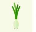 Scallion green onion flat design. Healthy food vector illustration. Organic meal concept. Chinese Food and Restaurant Icon-Set.